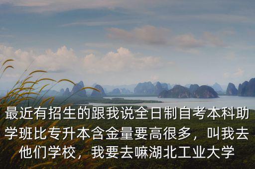 最近有招生的跟我說全日制自考本科助學班比專升本含金量要高很多，叫我去他們學校，我要去嘛湖北工業大學