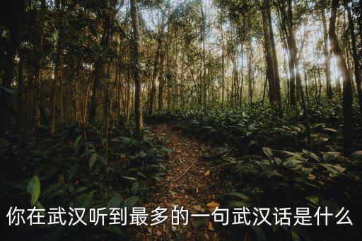武漢話蹲下怎么說,武漢人究竟說的是什么話