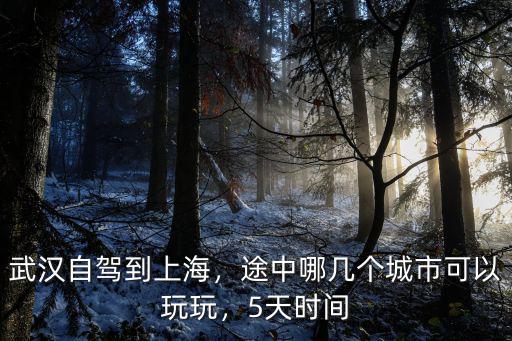 武漢自駕到上海，途中哪幾個城市可以玩玩，5天時間