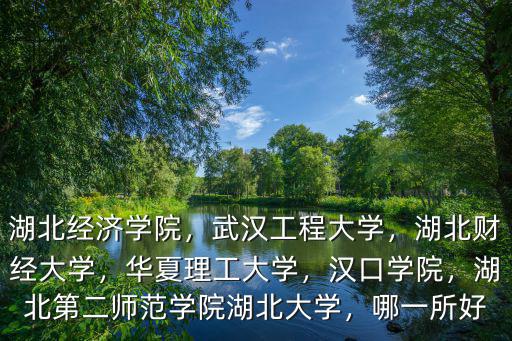 湖北經濟學院，武漢工程大學，湖北財經大學，華夏理工大學，漢口學院，湖北第二師范學院湖北大學，哪一所好