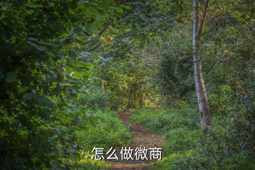 怎么做微商