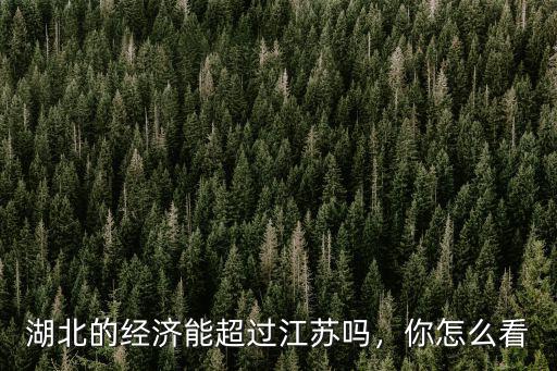 湖北的經(jīng)濟能超過江蘇嗎，你怎么看