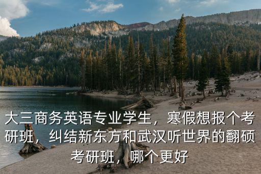 大三商務英語專業學生，寒假想報個考研班，糾結新東方和武漢聽世界的翻碩考研班，哪個更好