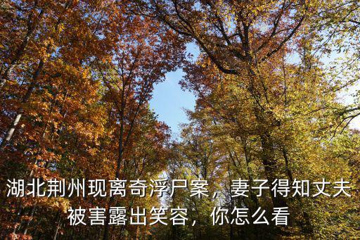 湖北現怎么,湖北襄陽現最牛釘子戶