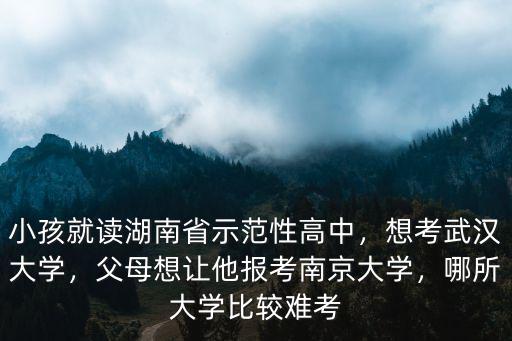怎么報考武漢大學的情報學,想考武漢大學