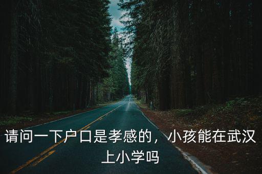 請問一下戶口是孝感的，小孩能在武漢上小學嗎