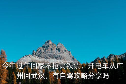 廣州自駕回武漢怎么走,開電車從廣州回武漢