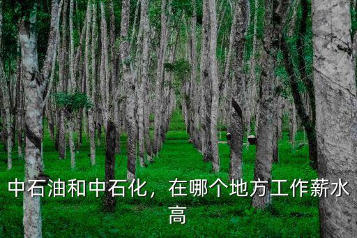 中石油和中石化，在哪個地方工作薪水高