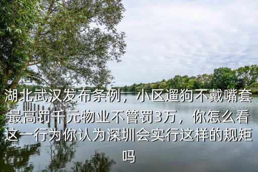 湖北武漢發布條例，小區遛狗不戴嘴套最高罰千元物業不管罰3萬，你怎么看這一行為你認為深圳會實行這樣的規矩嗎