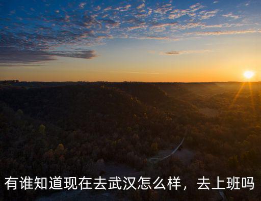 武漢雙匯上班怎么樣,在武漢打工生活怎么樣