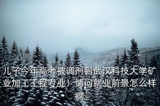 武漢科技大學轉專業怎么樣,請問武漢科技大學怎么樣