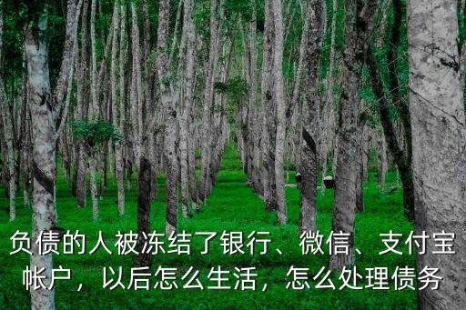負債的人被凍結了銀行、微信、支付寶帳戶，以后怎么生活，怎么處理債務