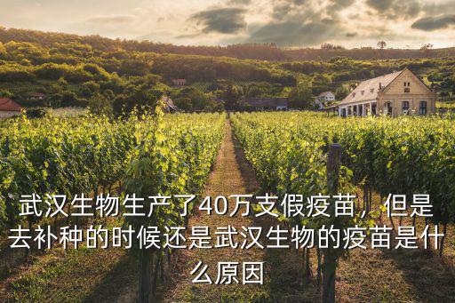 武漢生產的疫苗怎么樣,孩子打了武漢生物的疫苗
