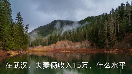 在武漢，夫妻倆收入15萬，什么水平