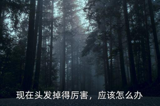 現(xiàn)在頭發(fā)掉得厲害，應(yīng)該怎么辦