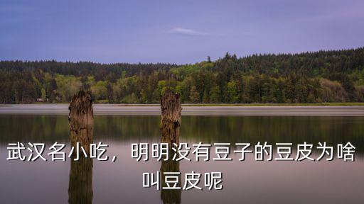 武漢名小吃，明明沒有豆子的豆皮為啥叫豆皮呢