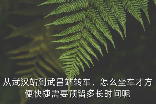 武漢站到自貿城怎么坐公交,從武漢站到武昌站轉車