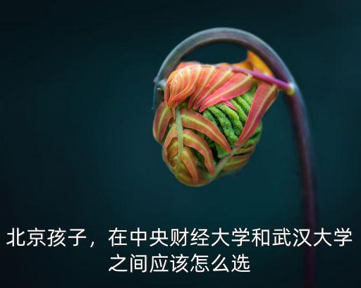 北京孩子，在中央財經大學和武漢大學之間應該怎么選