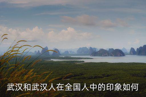 武漢和武漢人在全國人中的印象如何