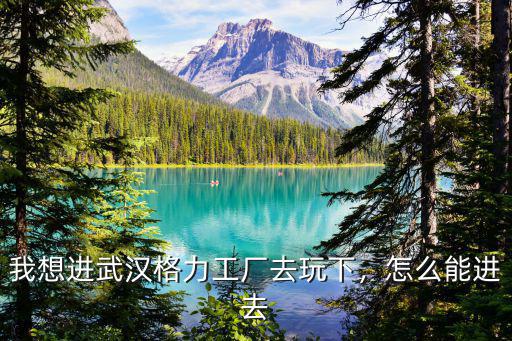 武漢的工廠怎么玩,我想進武漢格力工廠去玩下
