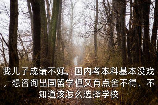 我兒子成績不好，國內(nèi)考本科基本沒戲，想咨詢出國留學(xué)但又有點舍不得，不知道該怎么選擇學(xué)校
