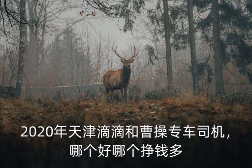 2020年天津滴滴和曹操專車司機，哪個好哪個掙錢多