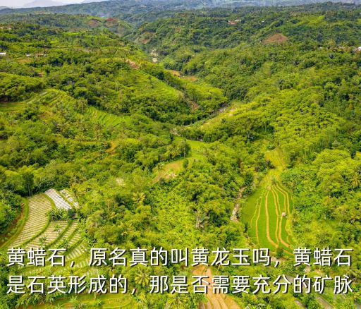 黃蠟石，原名真的叫黃龍玉嗎，黃蠟石是石英形成的，那是否需要充分的礦脈