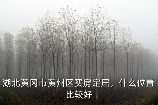 湖北黃岡市黃州區(qū)買房定居，什么位置比較好