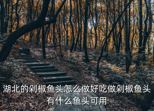 湖北的剁椒魚頭怎么做好吃做剁椒魚頭有什么魚頭可用