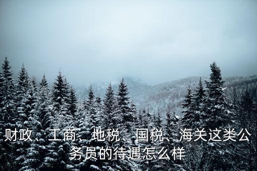 財政、工商、地稅、國稅、海關這類公務員的待遇怎么樣