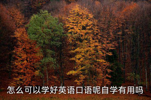 怎么可以學好英語口語呢自學有用嗎