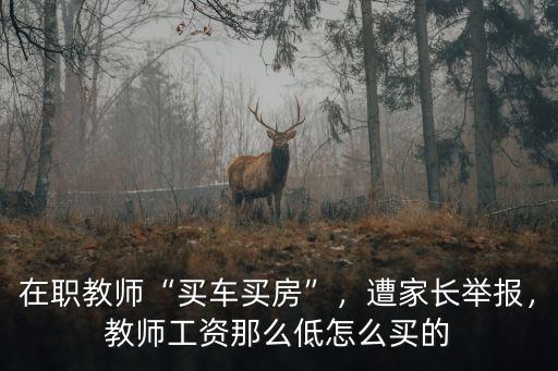 湖北監(jiān)利教師工資怎么那么低,教師工資那么低怎么買的