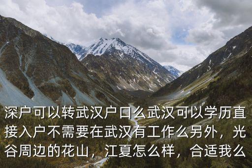 留學生怎么落戶武漢,武漢可以學歷直接入戶
