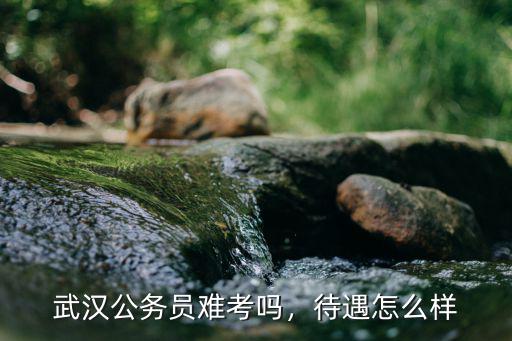 武漢日企待遇怎么樣,武漢小米公司待遇怎么樣