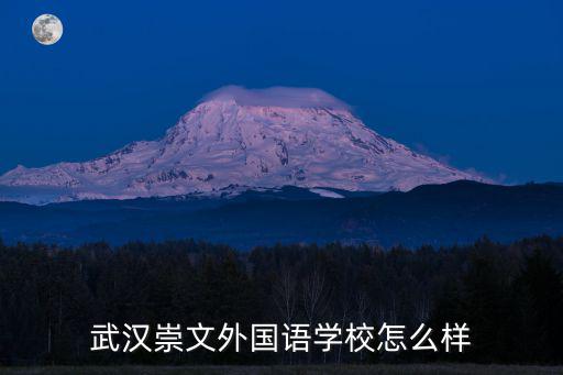 武漢崇文外國語學校怎么樣