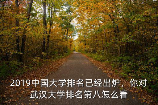 武漢大學黃開明怎么,你對武漢大學排名第八怎么看