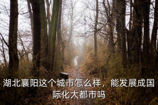 湖北襄陽余家湖周邊怎么發展,湖北襄陽的發展怎么樣