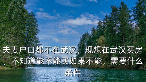 夫妻戶口都不在武漢，現想在武漢買房，不知道能不能買如果不能，需要什么條件