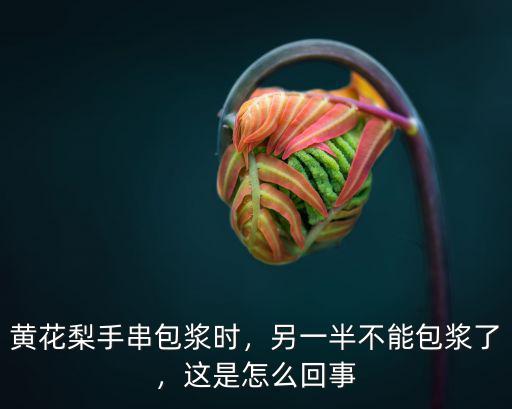 黃石包漿是怎么回事,老田黃石的包漿是怎么回事