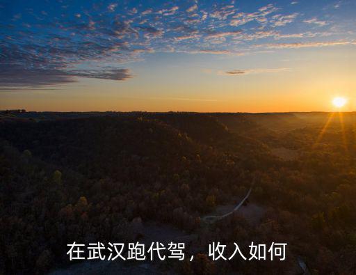 武漢代駕工資怎么樣,請問武漢代駕行情怎么樣
