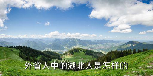 外省人中的湖北人是怎樣的