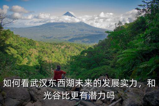 武漢的東西湖區(qū)怎么樣,武漢東西湖那邊的房子