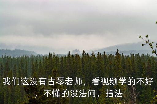 我們這沒有古琴老師，看視頻學的不好，不懂的沒法問，指法