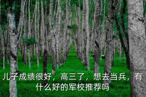 兒子成績很好，高三了，想去當兵，有什么好的軍校推薦嗎