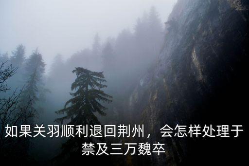 如果關羽順利退回荊州，會怎樣處理于禁及三萬魏卒
