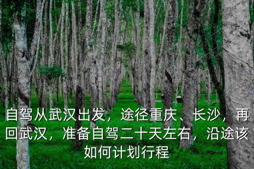 自駕從武漢出發(fā)，途徑重慶、長沙，再回武漢，準(zhǔn)備自駕二十天左右，沿途該如何計劃行程
