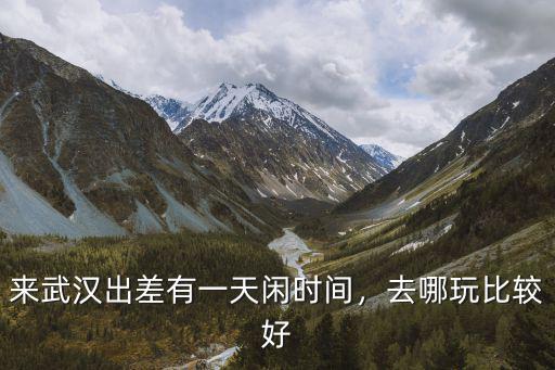 來武漢出差有一天閑時間，去哪玩比較好