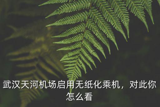 武漢天河機場啟用無紙化乘機，對此你怎么看