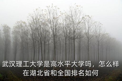 武漢理工大學(xué)是高水平大學(xué)嗎，怎么樣在湖北省和全國排名如何