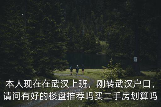 本人現在在武漢上班，剛轉武漢戶口，請問有好的樓盤推薦嗎買二手房劃算嗎